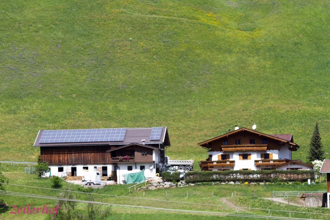 Zellerhof Apartmán